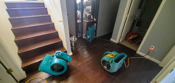 Best Water damage contractors near me  in Montauk, NY