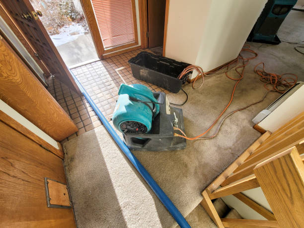 Best Basement water damage restoration  in Montauk, NY