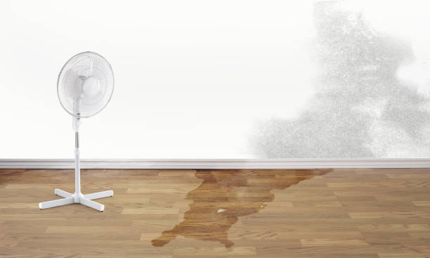 Water damage restoration process in Montauk, NY