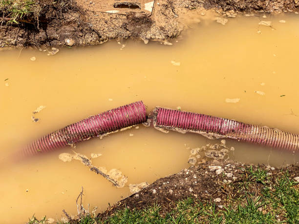 Best 24/7 water damage repair  in Montauk, NY